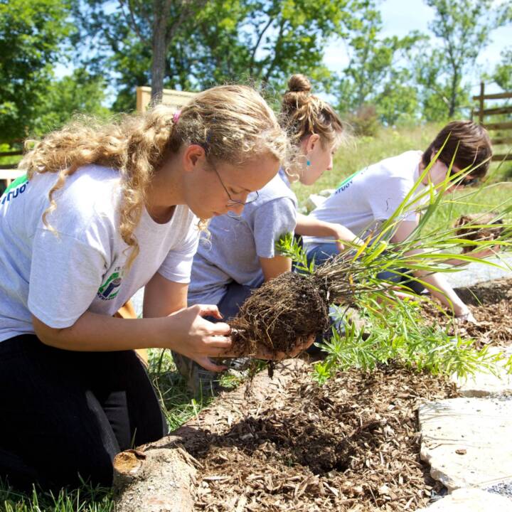 Drei Jugendliche knien auf dem Boden in einem Garten und pflanzen junge Pflanzen in ein Beet. Sie tragen helle T-Shirts und arbeiten konzentriert bei sonnigem Wetter. Im Hintergrund sind Bäume und ein Holzzaun zu sehen.