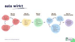 Logik der aula-Wirkung